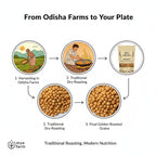 Infographic illustrating the Mye Farm Desi Roasted Moong Dal process: 1. Harvesting in Odisha Farms. 2. Traditional Dry-Roasting. 3. Final Golden Roasted Grains. The image highlights the journey 'From Odisha Farms to Your Plate' and the tagline 'Traditional Roasting, Modern Nutrition.